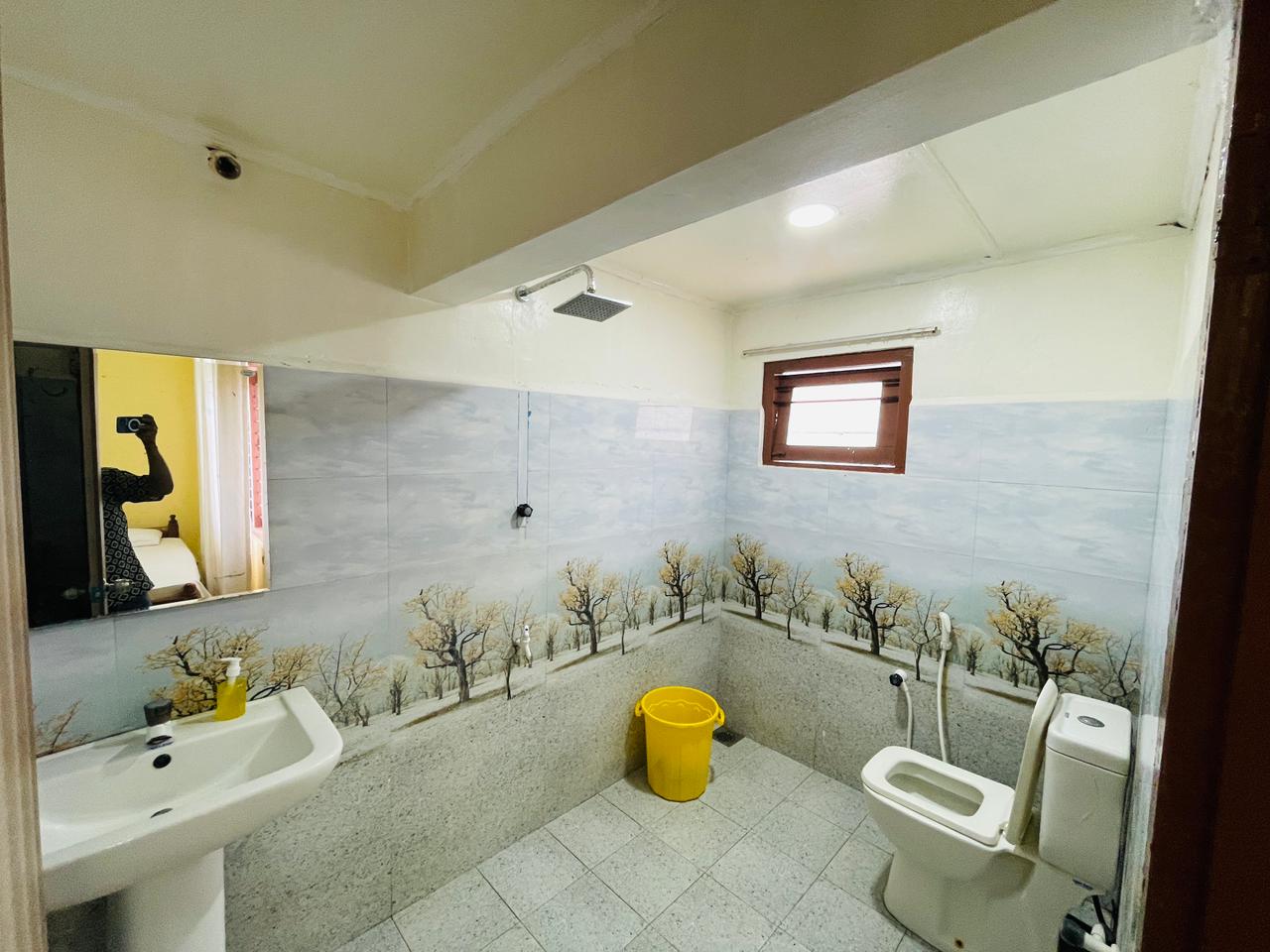 Penthouse with city skyline view